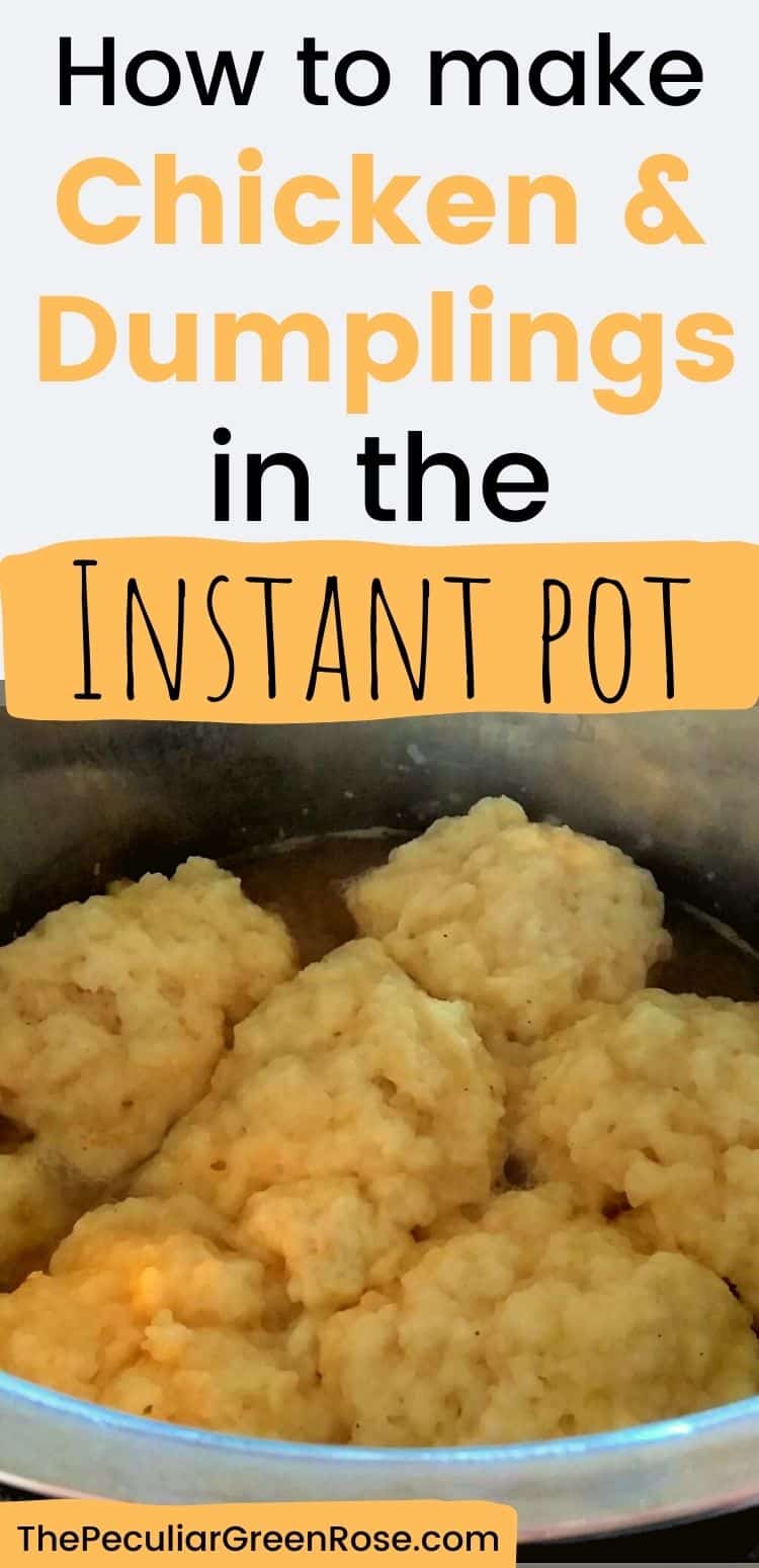 https://www.thepeculiargreenrose.com/wp-content/uploads/2018/12/How-to-make-Chicken-Dumplings-in-the-Instant-pot.jpg