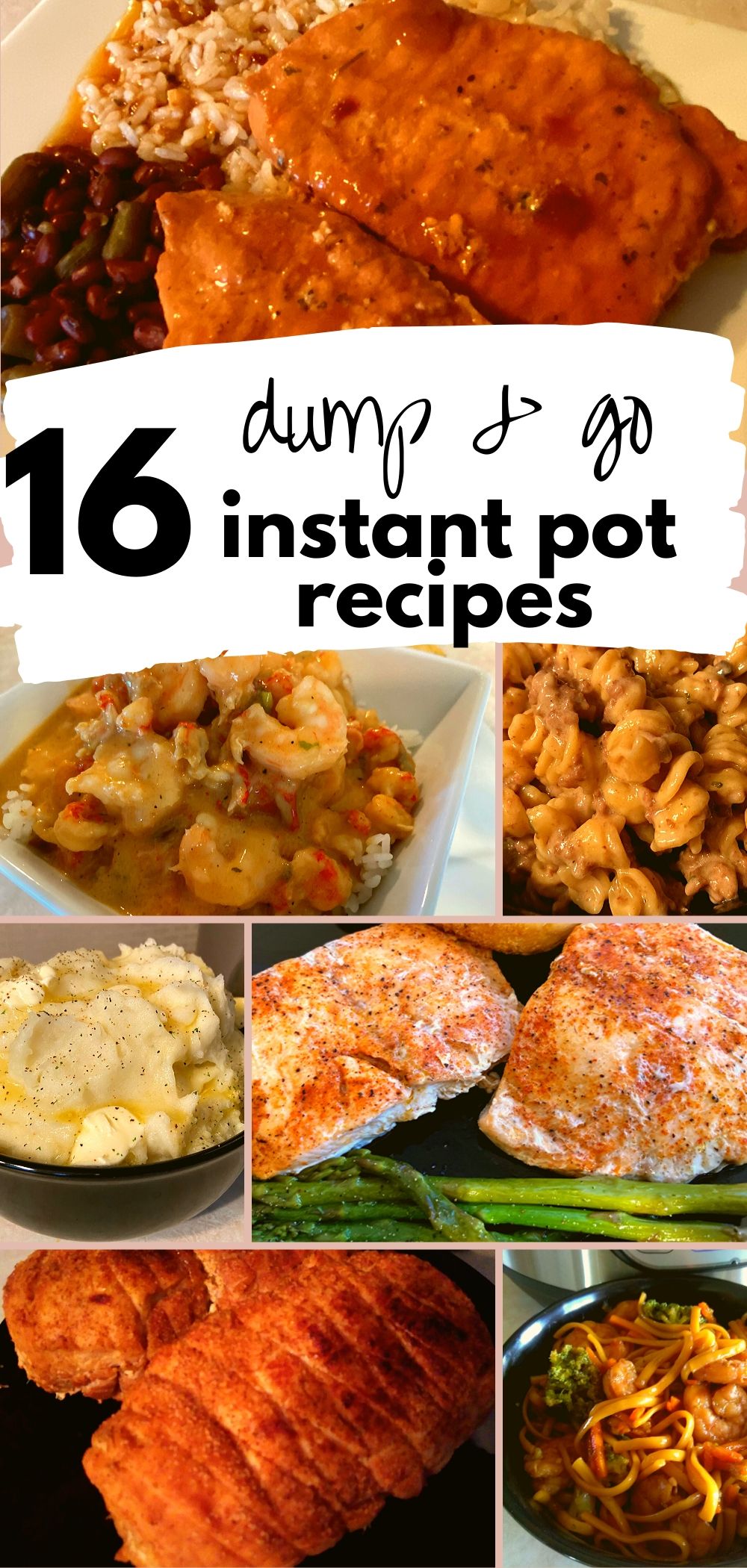 16 Easy (Dump and Go) Instant Pot Recipes The Peculiar Green Rose