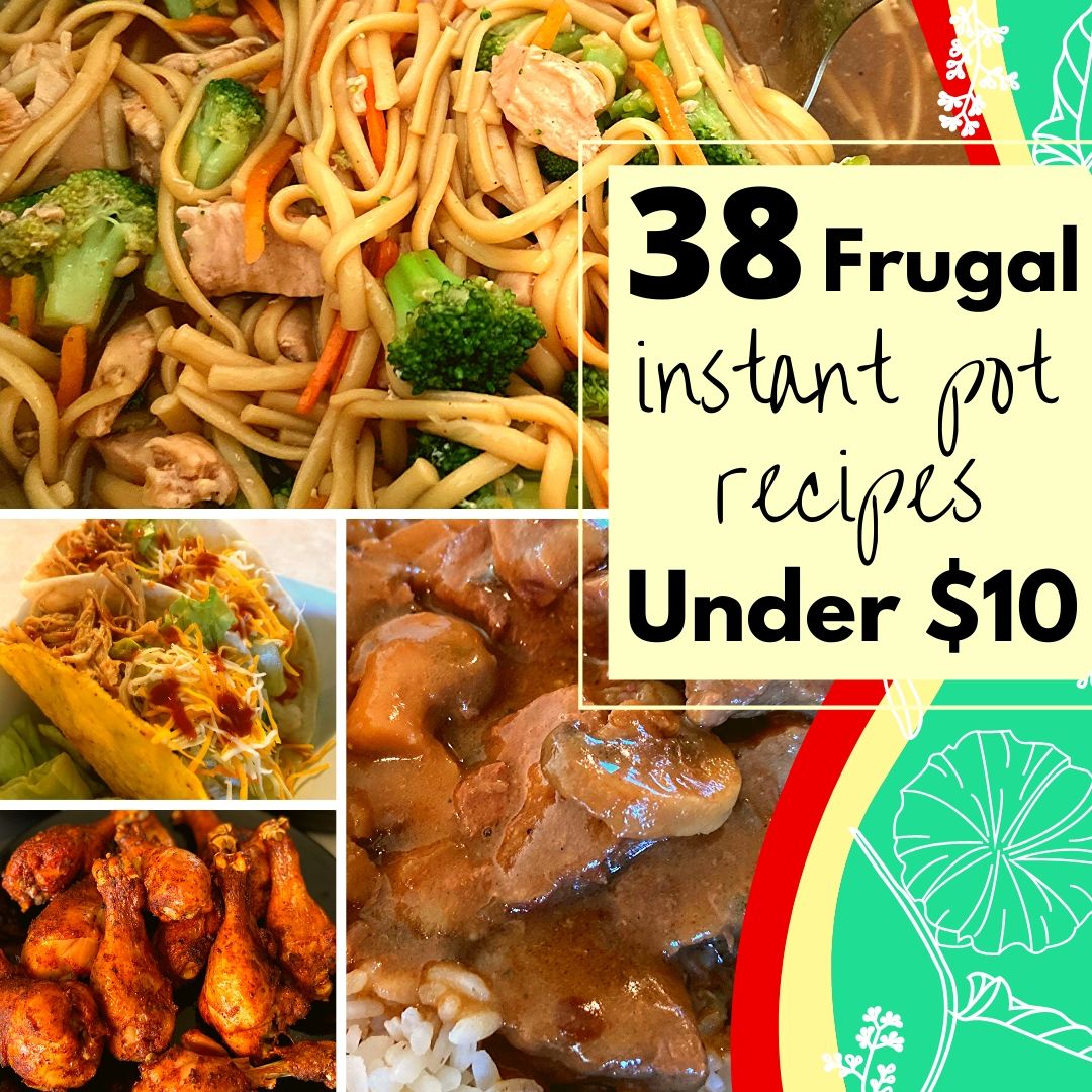 20 Easy Instant Pot Recipes for Beginners- Thrifty Frugal Mom