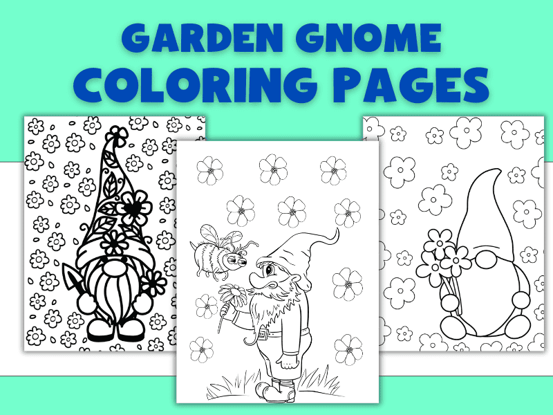 Garden Gnome Coloring Pages on a Desktop