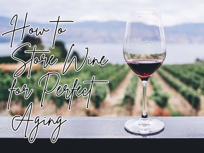 How to store wine for perfect aging